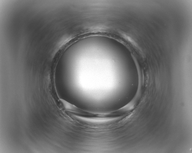 X0000066511261200603171142