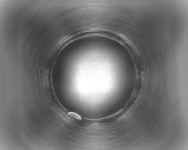 X0000066511265200603171142