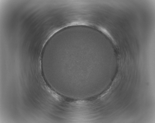 X0000066511268200603171142