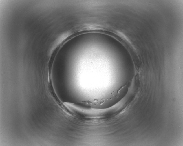 X0000066511269200603171142
