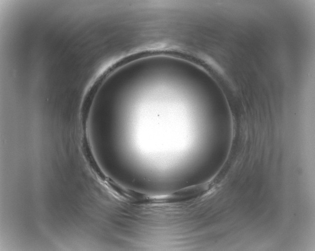 X0000066511270200603171142