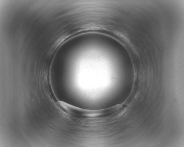X0000066511273200603171142