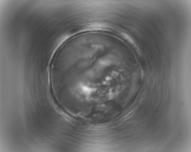X0000066511275200603171142