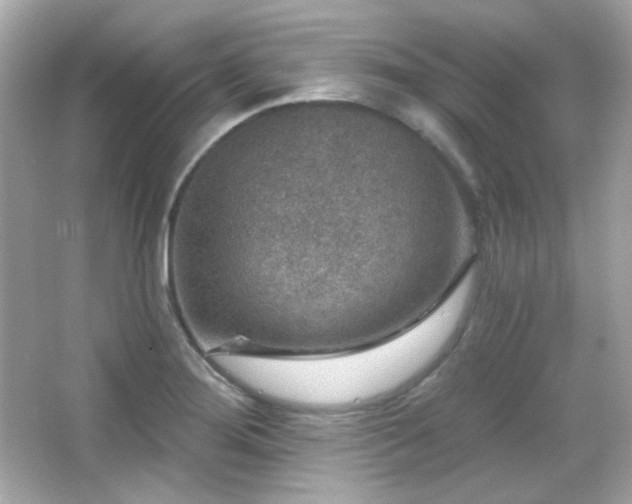 X0000066511276200603171142