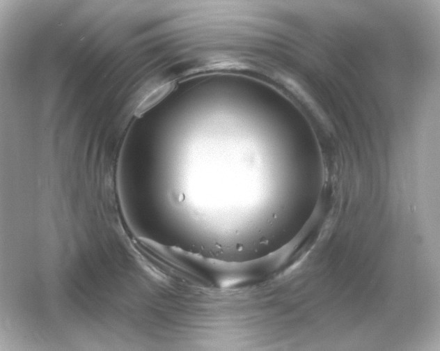 X0000066511281200603171142
