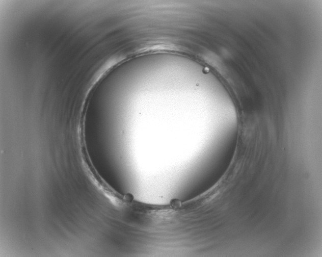 X0000066511282200603171142