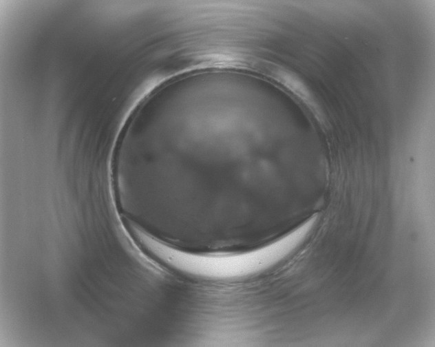X0000066511283200603171142
