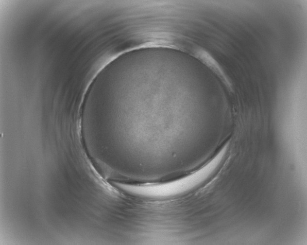 X0000066511284200603171142