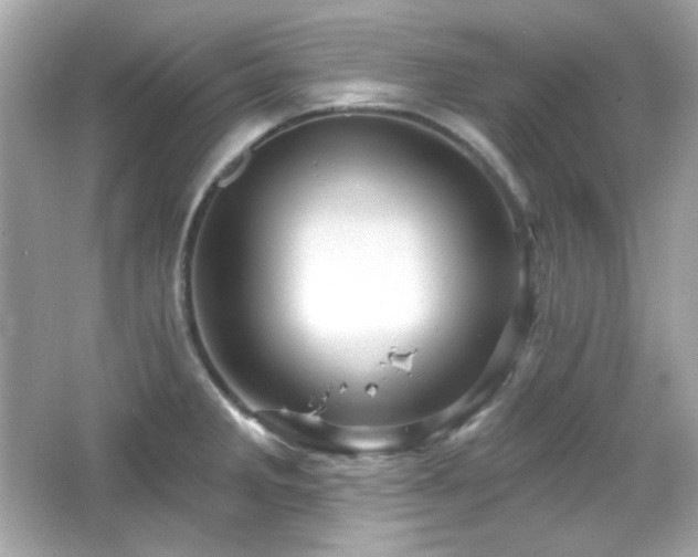 X0000066511285200603171142