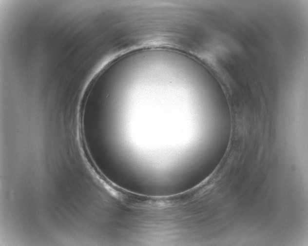 X0000066511286200603171142