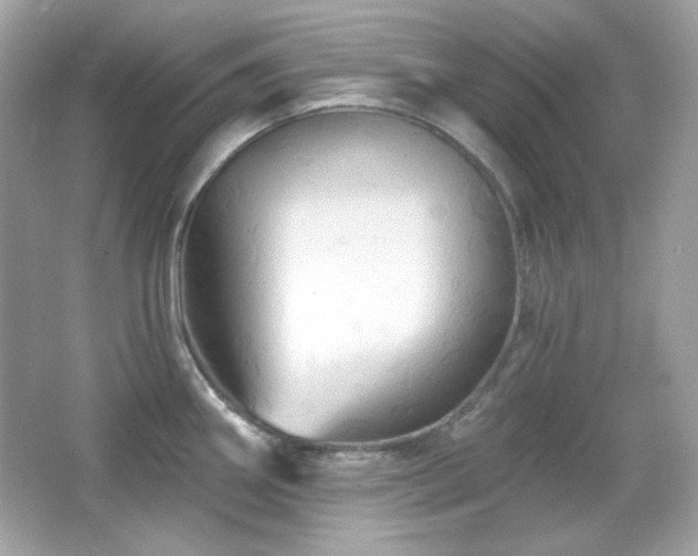 X0000066511290200603171142