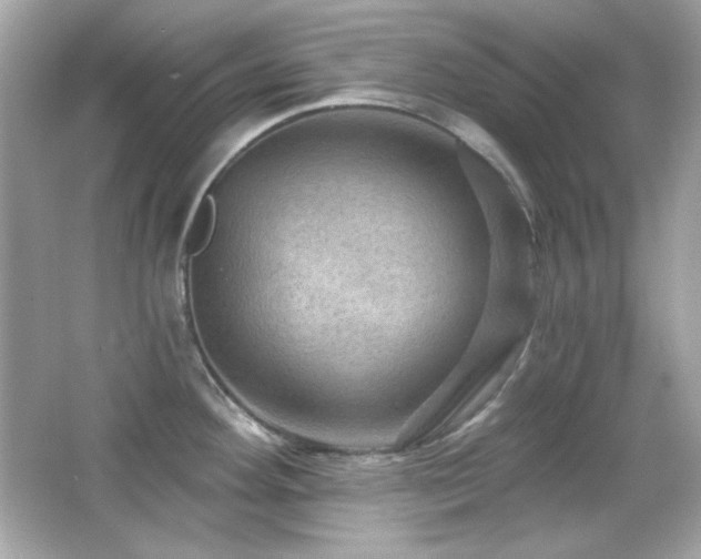 X0000066511292200603171142