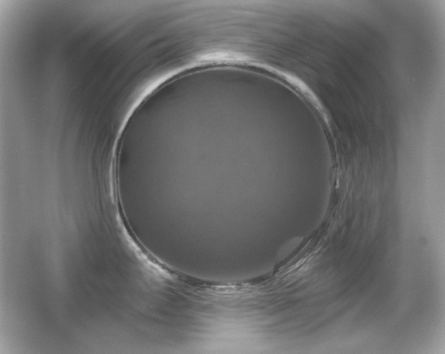 X0000066511295200603171142