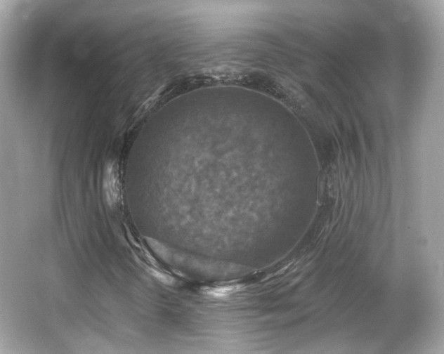 X0000066511298200603171141