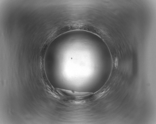 X0000066511299200603171141