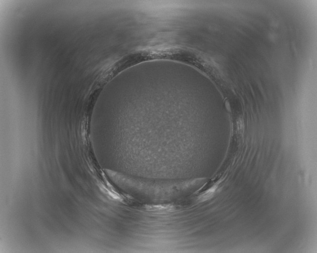 X0000066511300200603171141
