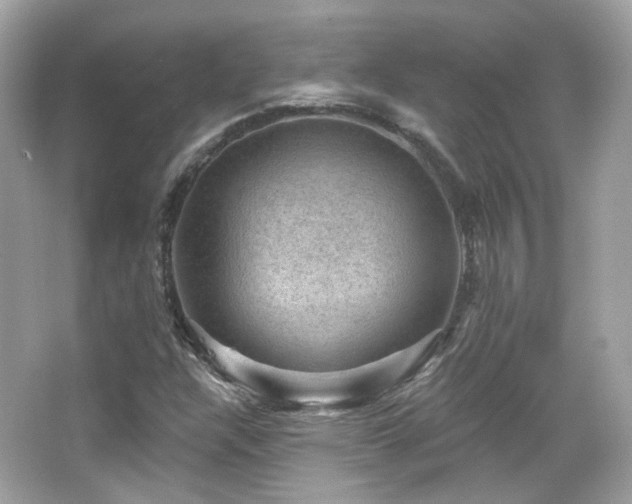 X0000066511304200603171141
