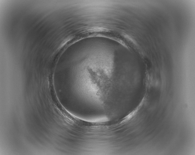X0000066511305200603171141