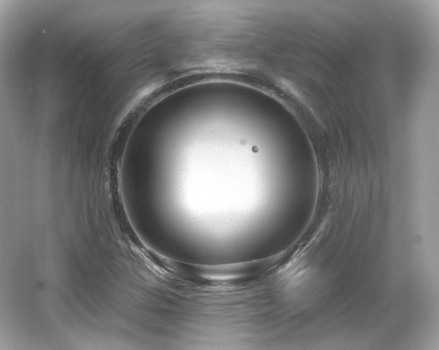 X0000066511307200603171141