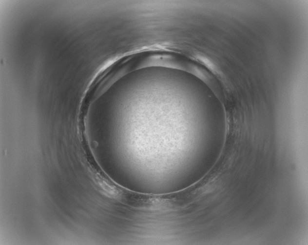 X0000066511308200603171141