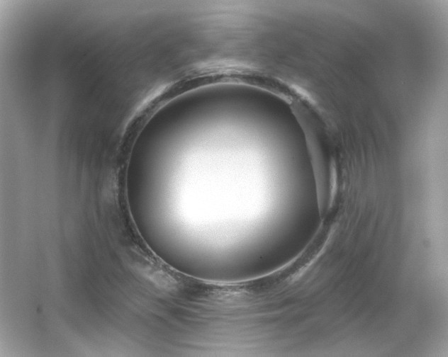 X0000066511309200603171141