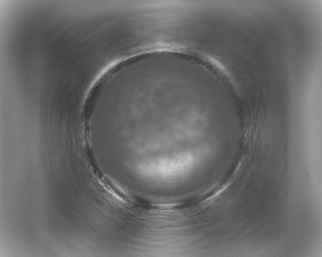 X0000066511310200603171141