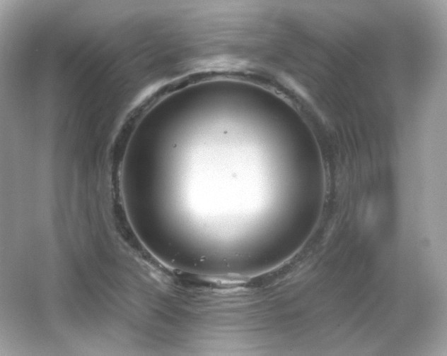 X0000066511315200603171141