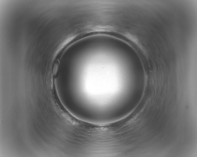 X0000066511317200603171141