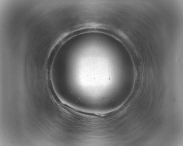 X0000066511318200603171141