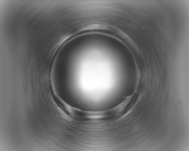 X0000066511321200603171141