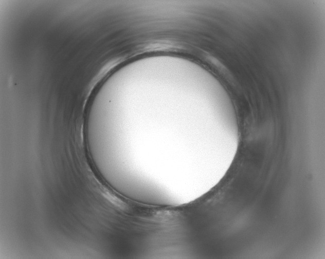 X0000066511322200603171141