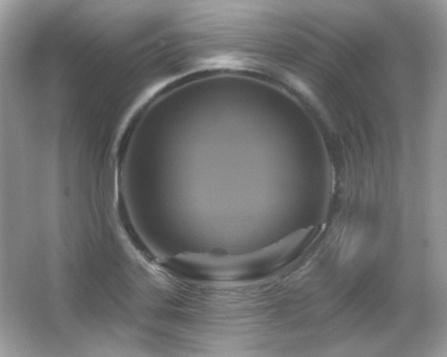 X0000066511323200603171141