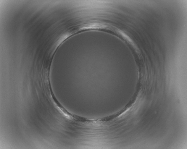 X0000066511329200603171141
