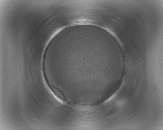 X0000066511333200603171141