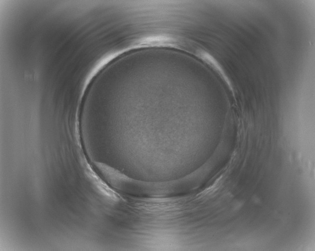X0000066511336200603171141
