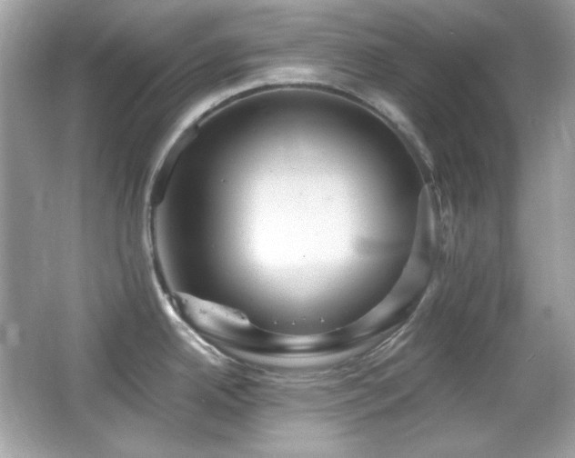 X0000066511342200603171142