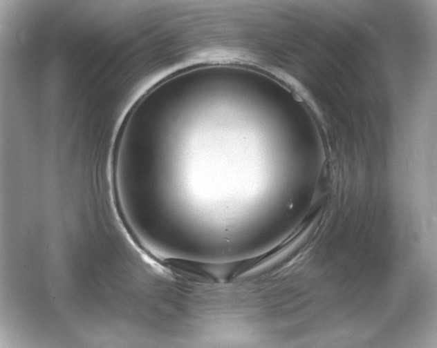 X0000066511343200603171142