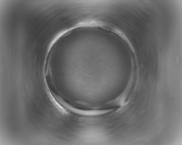 X0000066511344200603171142