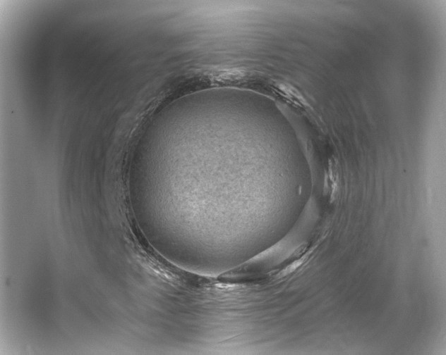 X0000066511345200603171141