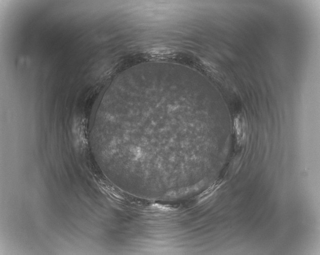 X0000066511346200603171141