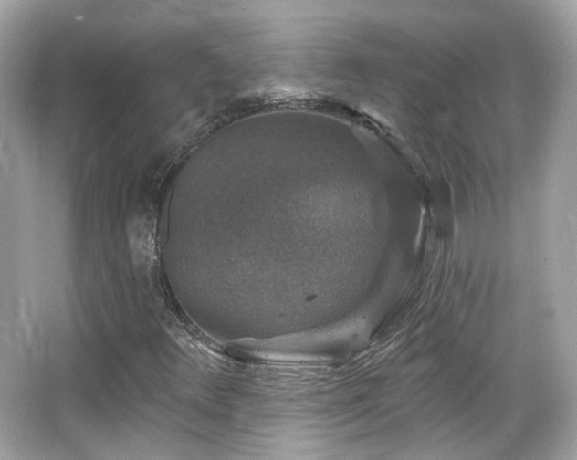 X0000066511348200603171141