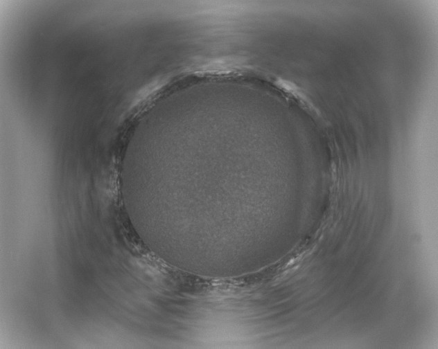 X0000066511350200603171141