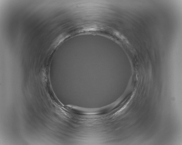 X0000066511353200603171141