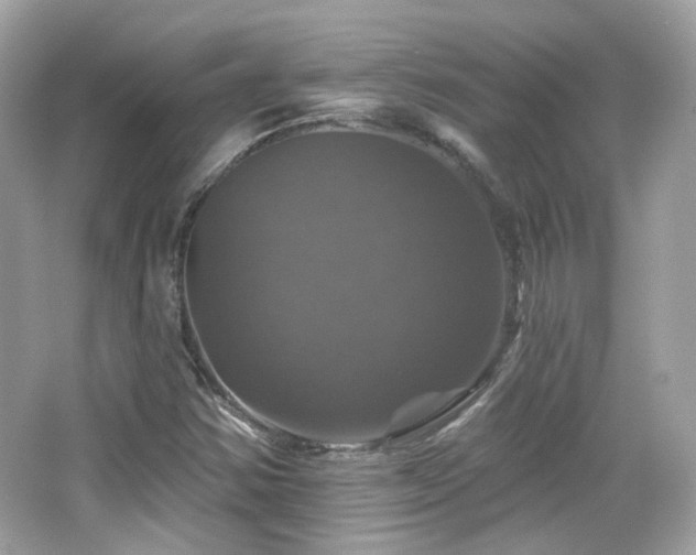 X0000066511354200603171141