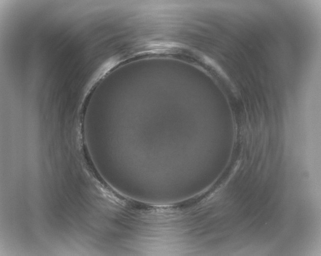 X0000066511362200603171140