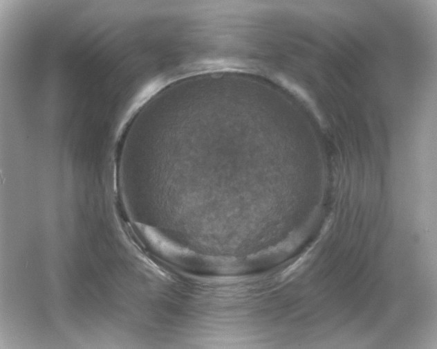 X0000066511365200603171140