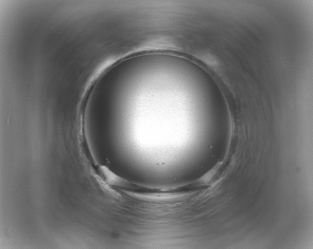 X0000066511366200603171140