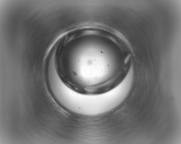 X0000066511368200603171140