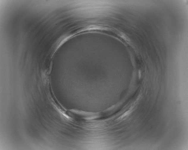 X0000066511369200603171140