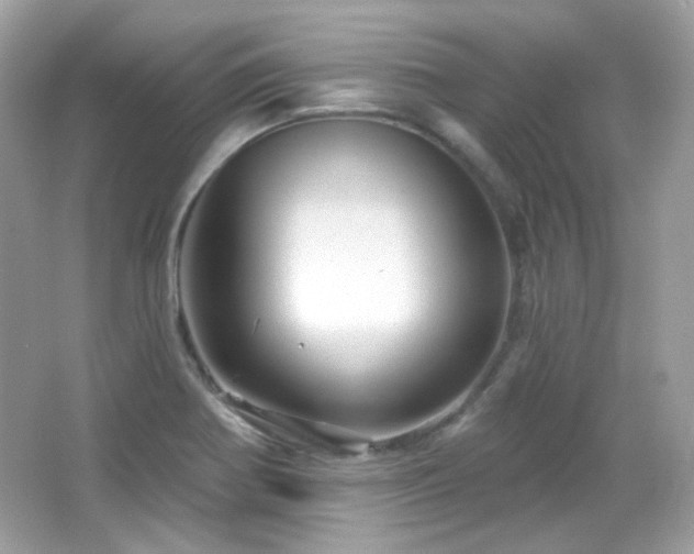 X0000066511370200603171140